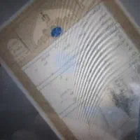 ضمانت