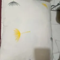 بالشت