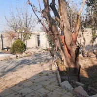 باغ بر ورودی خیابان اول