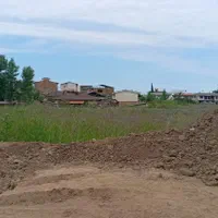 زمین های متراژبالا برای گلخانه وشهرک سازی|فروش زمین و ملک کلنگی|چالوس, |دیوار