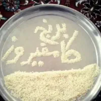 برنج اصل کامفیروز