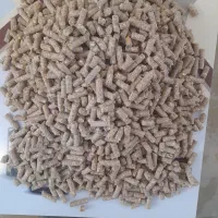 خوراک مخصوص اسب