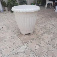 گلدان سایز بزرگ|گل و گیاه طبیعی|رشت, کوی حسینی|دیوار