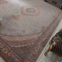 فرش یکپارچه ماشینی ۲۴ متری