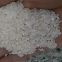 برنج طارم درجه ۱   سوتینگ شده ۱۴۰۴