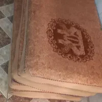 پشتی|پشتی|شیراز, شریفآباد|دیوار