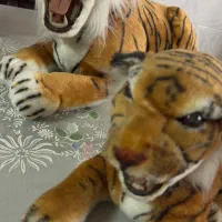 ببر باطری خور