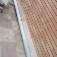 فرغون سالم ضخیم|ابزارآلات|تبریز, |دیوار