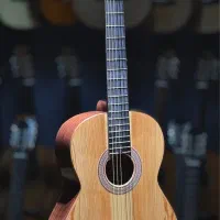 گیتار آگرین با دوسال گارانتی|گیتار، بیس، امپلیفایر|اصفهان, درب کوشک|دیوار