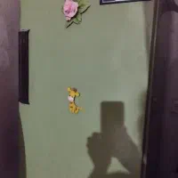 فریزر قدیمی
