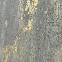 نقاشی ساختمان  ، پتینه ، میکرو سمنت،  و رق طلا  .|خدمات پیشه و مهارت|بروجرد, |دیوار