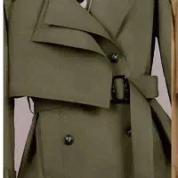 بارونی عاطفه