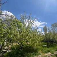 زمین ویلایی مناسب
