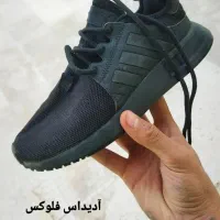 تعدادی کتونی تاناکورا سایزهاش توعکس نوشته شده|کیف، کفش، کمربند|اردبیل, |دیوار