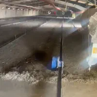 ماهونک کود مرغی