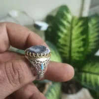 انگشتر شجر تک درخت