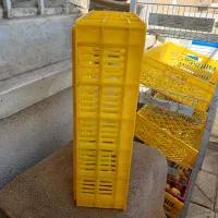 سبد بزرگ میوه|ظروف نگهدارنده، پلاستیکی، یک‌بارمصرف|مشهد, الهیه|دیوار