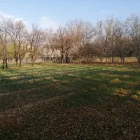 قطعه زمین ۱ هکتاری واقع در روستای الویجان|فروش دفتر صنعتی، کشاورزی، تجاری|تفرش, |دیوار