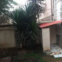 فروش گل|گل و گیاه طبیعی|ماسال, |دیوار