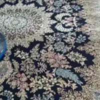 نیروی نظافت