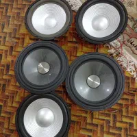 5ساب|سیستم صوتی خانگی|پرند, فاز ۵|دیوار