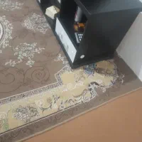 میز تلوزیون|میز تلویزیون|گلبهار, شهر جدید گلبهار|دیوار