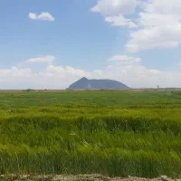 اجاره ۱۸ طناب زمین کشاورزی|اجارهٔ دفتر صنعتی، کشاورزی، تجاری|نوشین شهر, |دیوار