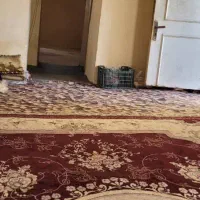 کارگاه یا انبار مسکونی|اجارهٔ خانه و ویلا|تهران, پامنار|دیوار