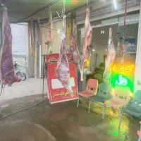 گوسفندزنده  وگوشت گوسفندی کشتارروز