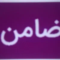 ضامن
