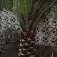قطع نخل بریدن نخل هرس نخل گردافشانی سمپاشی باغبانی|خدمات باغبانی و درختکاری|اهواز, گلستان|دیوار