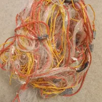 تورماهیگیری|ماهیگیری|زاهدان, |دیوار