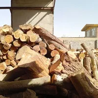 خریدار چوب انواع درختان باغی با بالاترین قیمت|خدمات باغبانی و درختکاری|محمدشهر, سیدآباد|دیوار