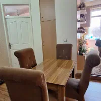 ۴ عدد صندلی در حد نوع