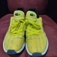 کتانی اورجینالpuma/BMW Adidas Reebok|کیف، کفش، کمربند|تهران, باغ فیض|دیوار