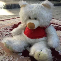 عروسک|اسباب‌بازی بچه|شیراز, فرگاز|دیوار