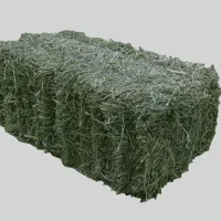 فروش یونجه