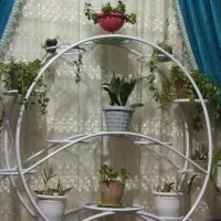 استند گل