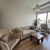 نیم ست چستر میز جلو مبلی روکش چوب