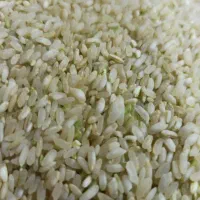 فروشگاه برنج آتش سودا