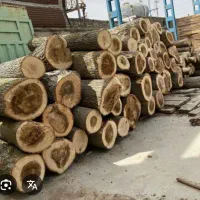 خریدار باغ صنوبر وجنگلی