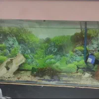 فروش آکواریوم