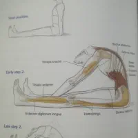 آمادگی همکاری