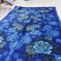 پتومعمولی زیبا