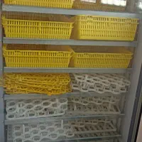دستگاه جوجه کشی
