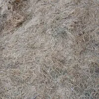 کاه|لوازم جانبی حیوانات|مرودشت, محمد آباد|دیوار