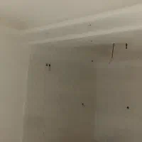 وام ازدواج یا جانبازان