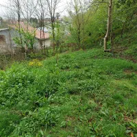 زمین-مسکونی-با-پروانه-موشنگاه-گلسرک-سراوان