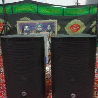 یک جفت باند جاسکو ۱۲ اینچ اکتیو