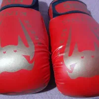 دستکش بوکس سالم|تجهیزات ورزشی|شوشتر, |دیوار